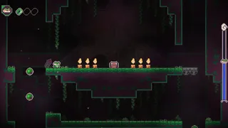 Frog Knight