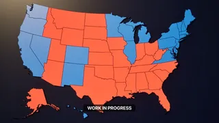 The Electorate