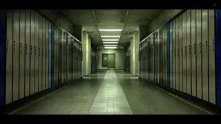 Sinisomnia
