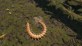 Скриншот 5 к игре Centipede Simulator