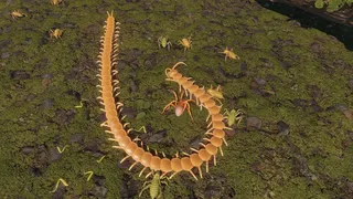 Скриншот 6 к игре Centipede Simulator