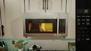 Скриншот 5 к игре Microwave Simulator