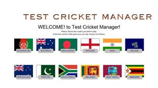 Test Cricket Manager