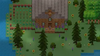 Hitcast