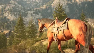 Medieval Horse Simulator