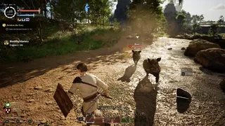 Dragon survival