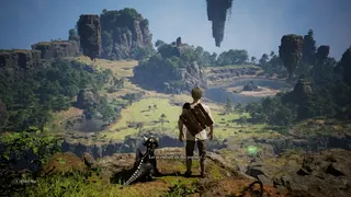 Dragon survival
