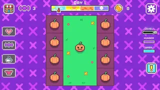 Pumpkin Love