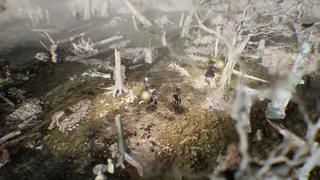 SHINEBRINGERS