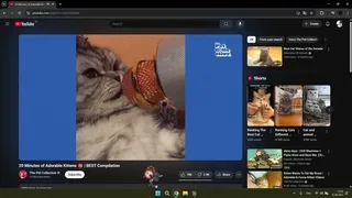 Скриншот 5 к игре Pawoki: Desktop Pets