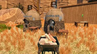 Wild West Miner - Gold Rush