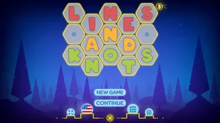 Puzzle - LINES AND KNOTS 3