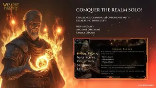 Скриншот 5 к игре Wizard’s Gambit