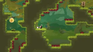 The Friendliest Skunk