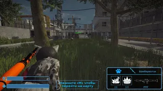Cat's Wars
