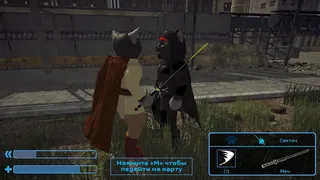 Cat's Wars