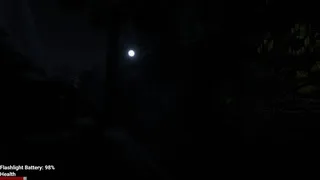 Скриншот 7 к игре The Lakeview Orb