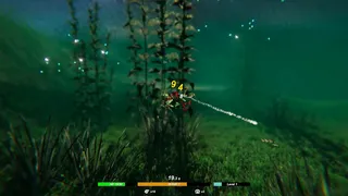 Fish Swarm: Within Inches