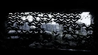 Скриншот 7 к игре WE’RE STILL HERE