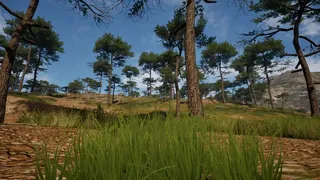 Grass Life Sim 2