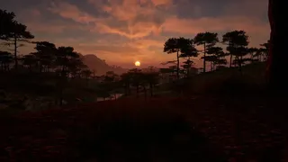 Grass Life Sim 2