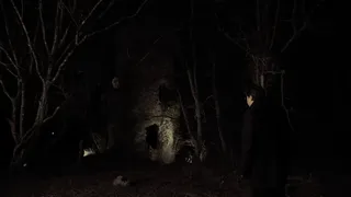 The Traveller's Sight