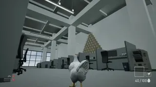 A Chicken In The Office