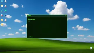 iris.exe