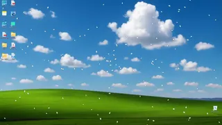 iris.exe
