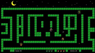Nocturne Maze: Shadows in the Hedge