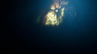 Parrotdome