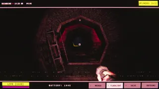 IT LURKS