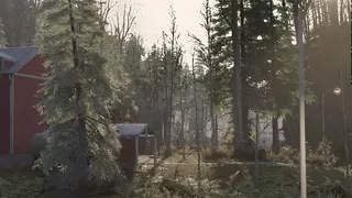Cold Response