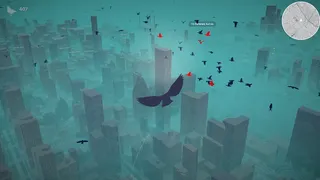 Pigeon: A Love Story