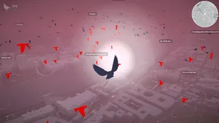 Pigeon: A Love Story