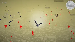 Pigeon: A Love Story