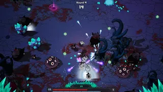 Blast Head
