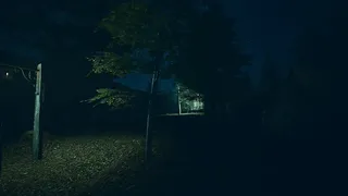 The Cursed Grave