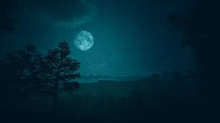 Скриншот 8 к игре The Cursed Grave