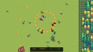 Bearly Surviving