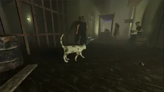 Where Is Mommy