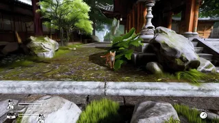 LITTLE CAT TINNY STRAYS