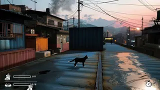LITTLE CAT TINNY STRAYS