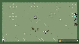 Farming Mushroom