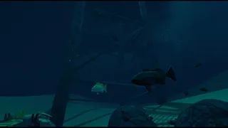 Tooth N' Fin