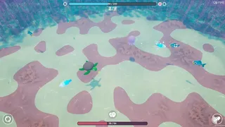 Underwater Duo