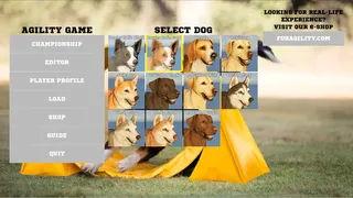 Agility Game