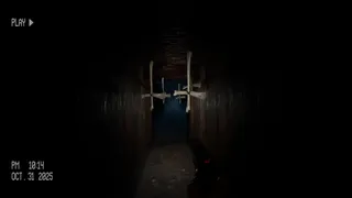 Скриншот 5 к игре Field Of Screams