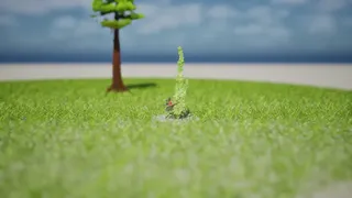 The Invasive Plant