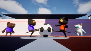 Ball Chasers